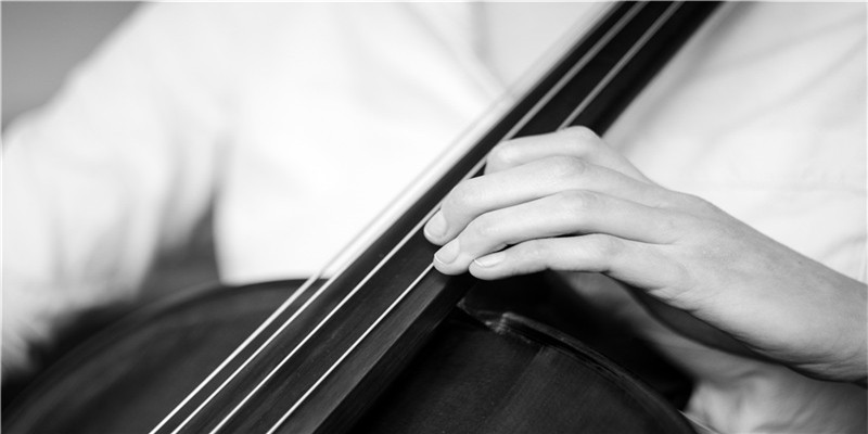 2019出生的猪宝宝什么命(95后女诗人不幸遇难)