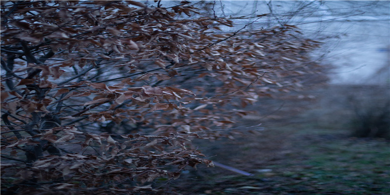 96年农历十月十五的女孩命(复习这些公认的爱情佳作)