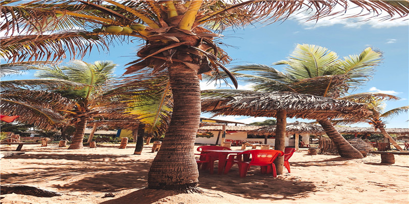 八字排盘网站(再谈八字排盘实例详解)