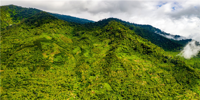 对台戏是什么意思解释(对台戏在戏曲里的意思)