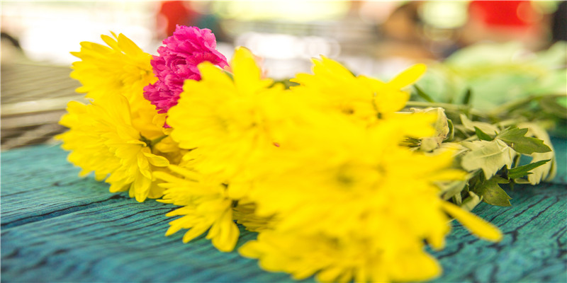 大门口放什么招财(在家养这25种花)