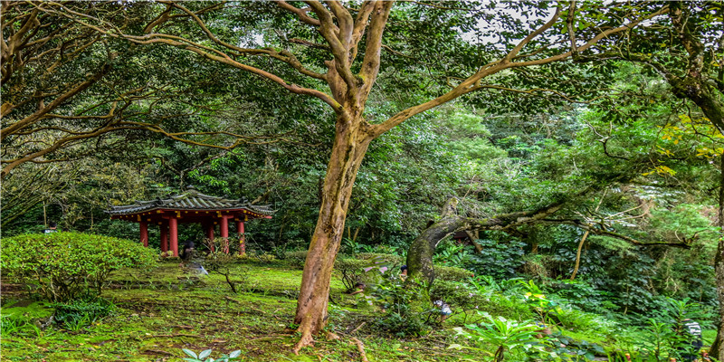 餐厅取名字大全免费(店名起名大全免费取名)