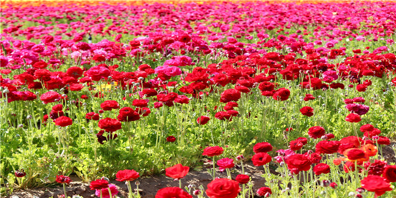 3两9钱男命(男子从殡仪馆打来电话)