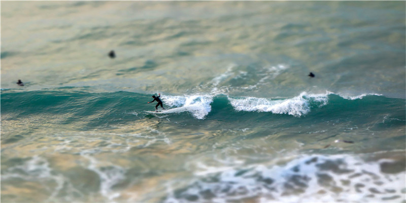 2020为什么是金鼠年(2020年鼠年风水)