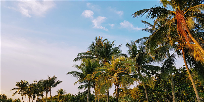 不言而喻是什么意思解释一下(不言而喻是什么意思解释词语)