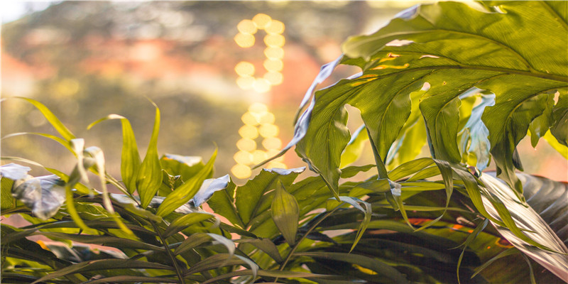 八字测名打分免费测试(女孩名字打分免费测试最准)