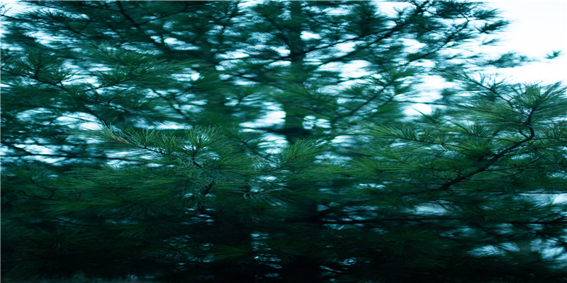 chloe英文发音(chloe名字怎么读)