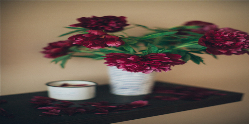 曹姓男孩新颖有涵养的名字(姓曹男孩起名大全)