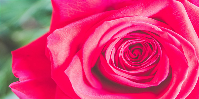 2010年出生的是什么后(网红为了火干过的离谱事)