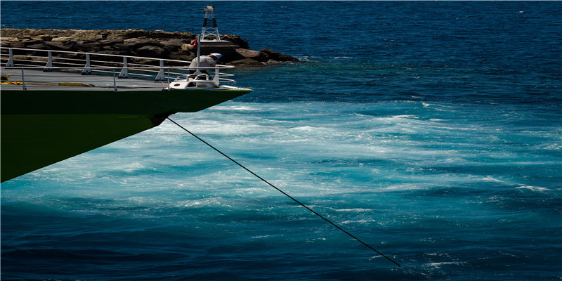 2002年11月15日出生的人(“中国天然燕麦第一人”李刚岭)