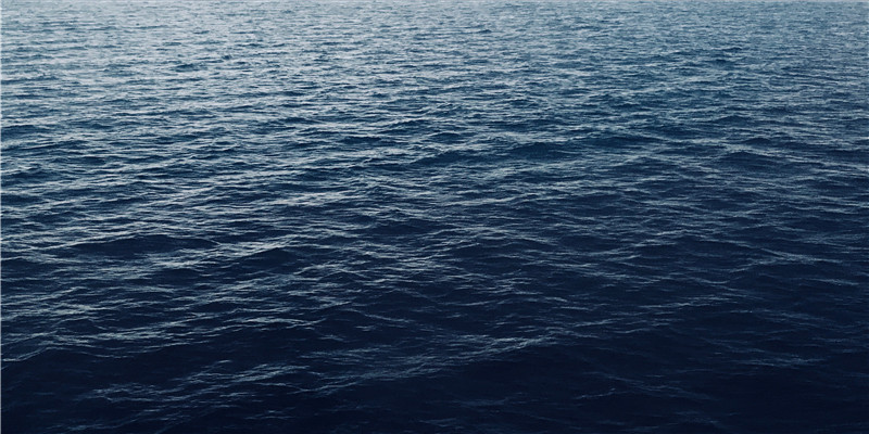 93年鸡和94年狗婚姻好不好(生肖鸡配对算命)