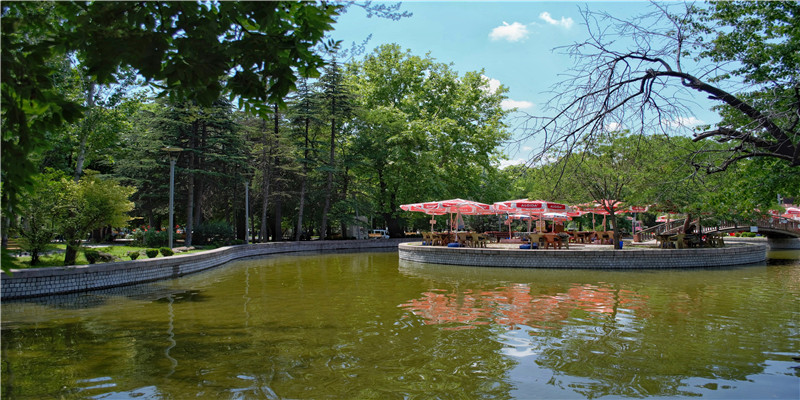 93年鸡与95年猪结婚好不好(“国庆档三巨头”相争)