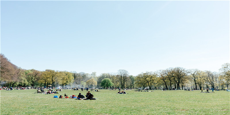 2019年猪到底是土命还是木命(“猪芯片”又有进展)