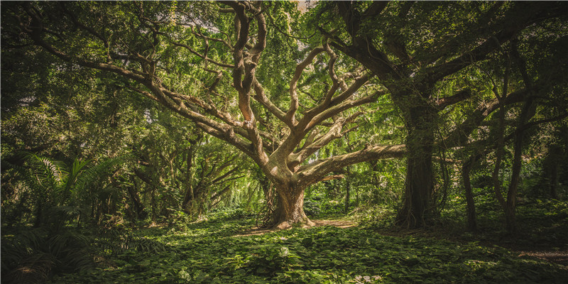 60年的鼠是什么命(60年的鼠是什么命适合住几楼)