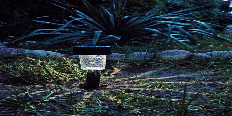 99年男兔与98年女虎婚配好吗(为什么我说真正的美人必须有兽性)