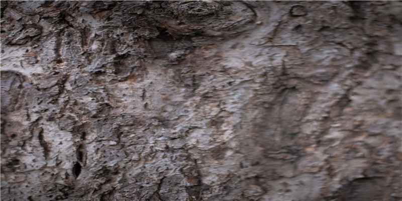 35岁后富的手相(五十岁后走运的手相)