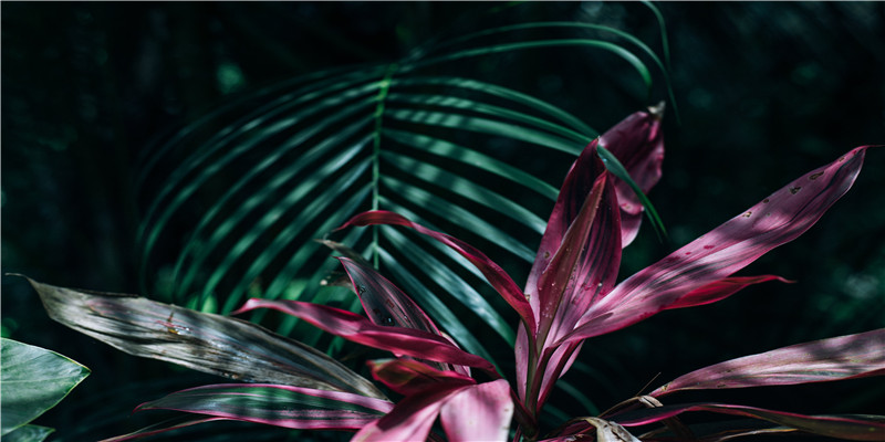 2009年几点出生最好命(一个奇怪的知识点)