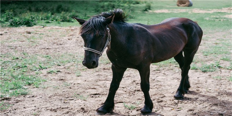 5月7日出生的明星女(杨童舒还是这么美)