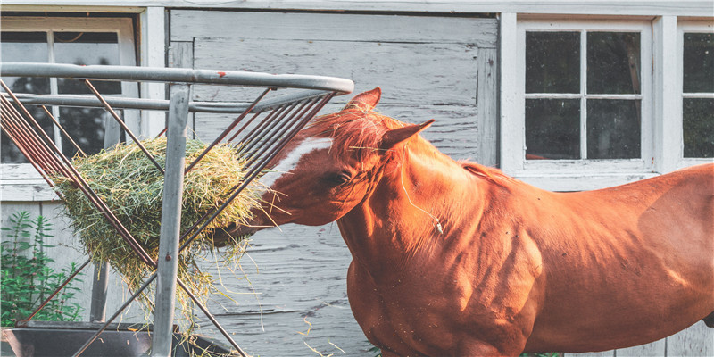 6月结婚的好日子(南宁女子结婚生子1年后)