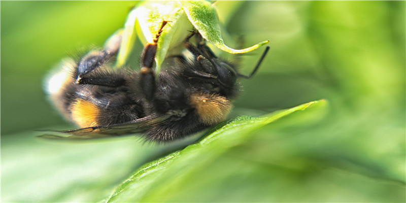 2014年5月20日生什么命(江苏省委省政府调查组关于“丰县生育八孩女子”事件调查处理情况的通报)