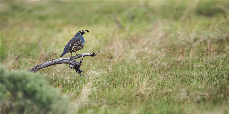 2011年什么命相(杨钰莹伊能静刘亦菲舒淇)