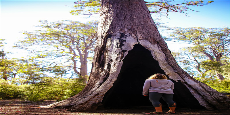 2001年2月21日是什么命(“冰墩墩”能否引领中国文创破圈之路)