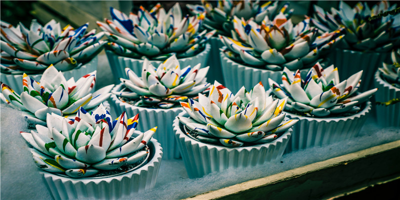 大呼小叫的意思(大呼小叫的拼音怎么写)