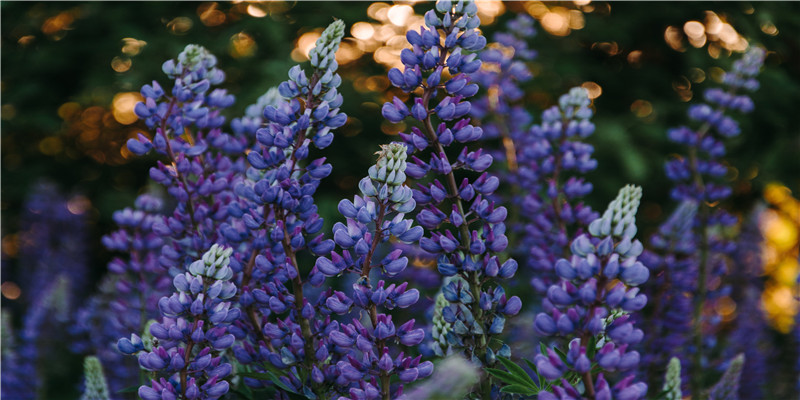 36婚姻签解签全解(8年相亲124次)