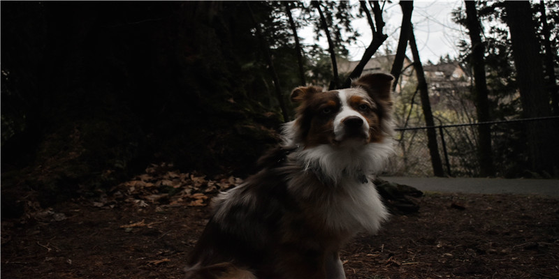 2021年牛年几月出生命运最好(2021牛年起名)_重复