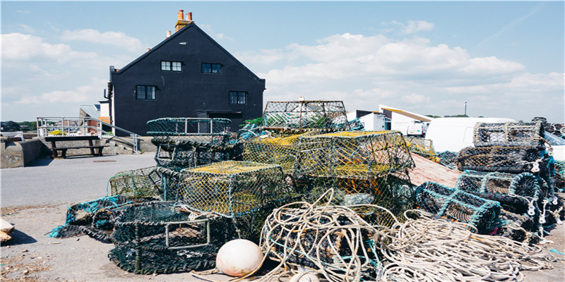 测名字2021免费八字起名周易(2021年给宝宝起名字)