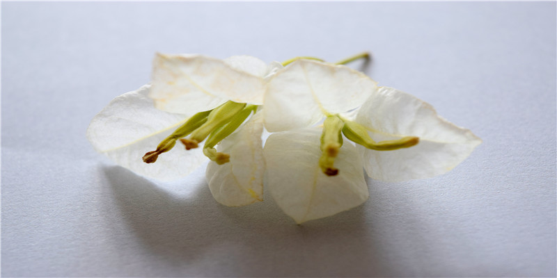 87年属兔男最终的婚姻结果(2016年婚姻方面定有喜事之人)