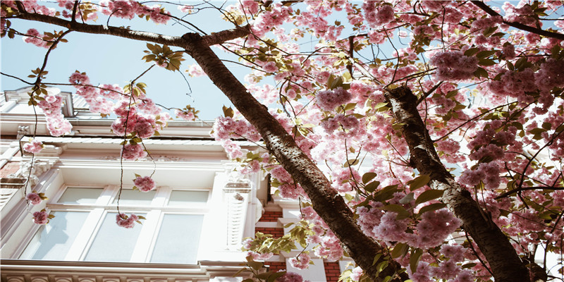 73年婚配最佳对象(印度有个“女儿国”)