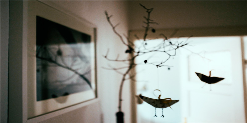 2只手断掌的女人的命好不好(断掌女人真的克夫吗)