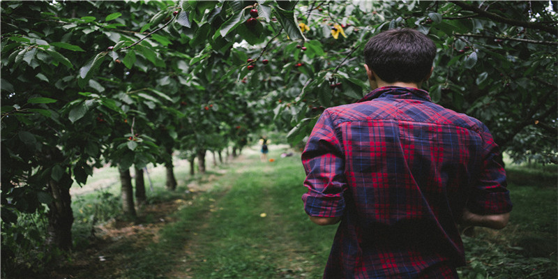 儿媳妇梦见婆婆死了(梦见女儿的婆婆)