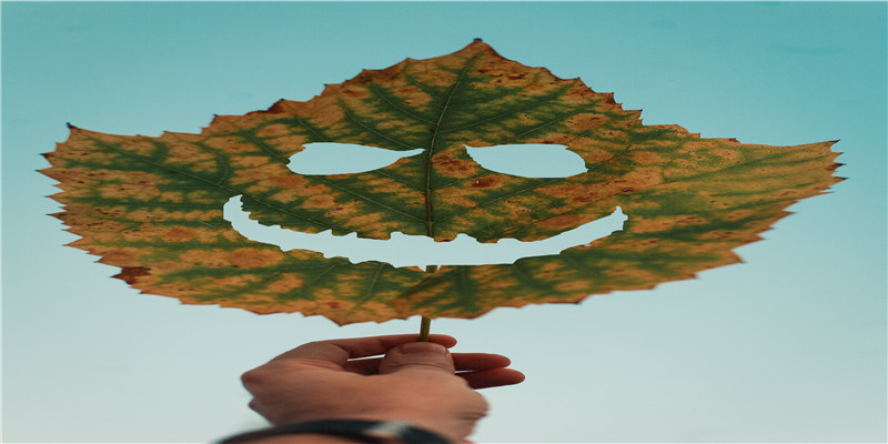 71年属猪女人婚姻好不好(出世在这几日的71年“猪猪猪”最有分缘)_重复