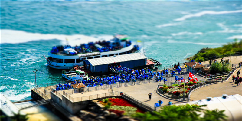 忱字起名是什么意思(名字取名的寓意)