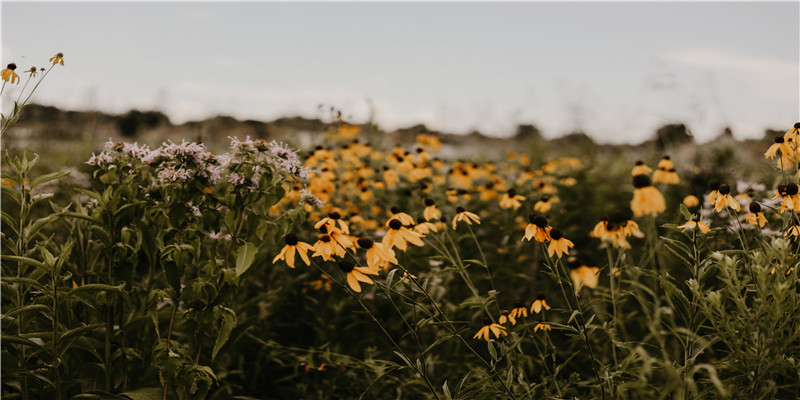 八字元辰是什么意思(元辰在八字中代表什么)