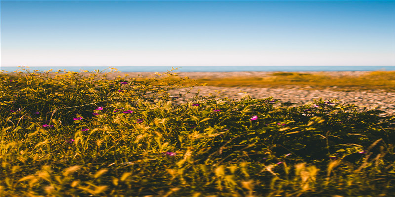 87年属兔女最佳婚配(属兔的朋友今年过的顺利吗)
