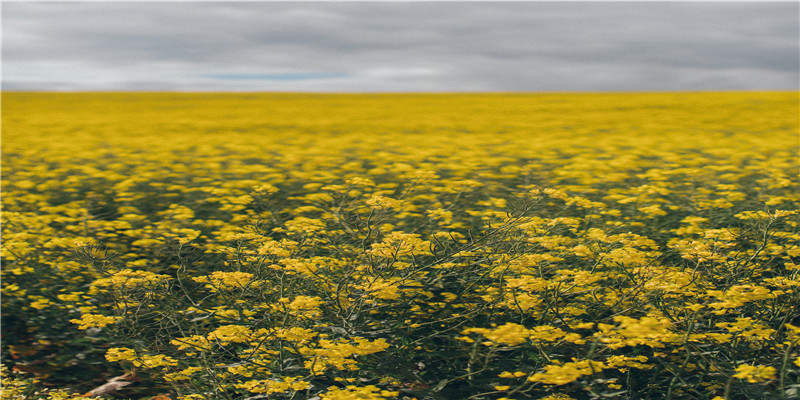 2021最火的相册名称(2021年全家福照片)