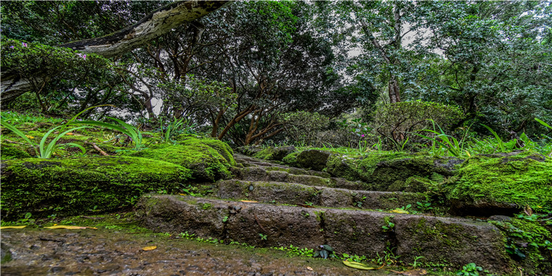 2014年出生什么命(成为“羽生结弦”)