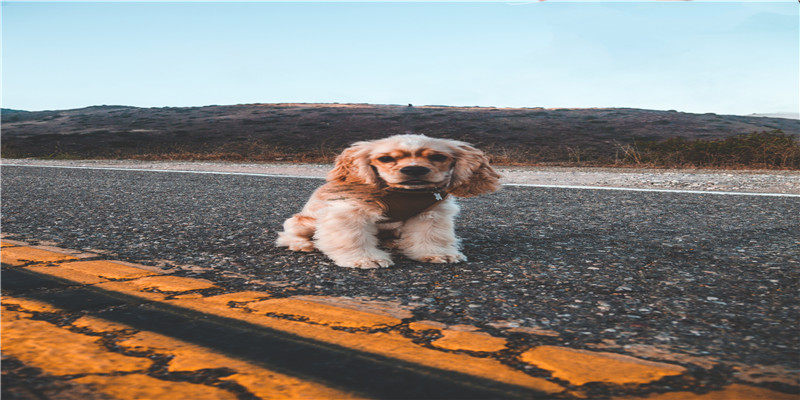 2009年出生到2021年几周岁(都2022年了)