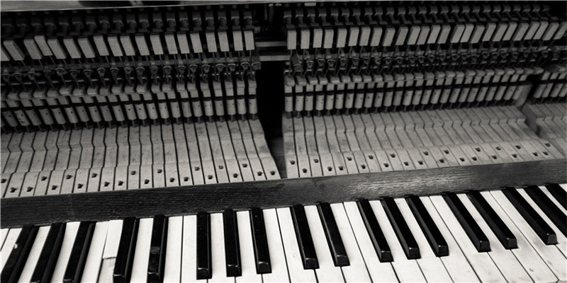 4月12日出生的人很可怕(“姐弟坠楼案”庭审细节曝光)