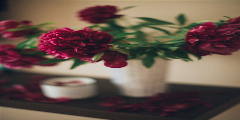 34岁属兔男婚姻状况(元宵节过完啦)_重复