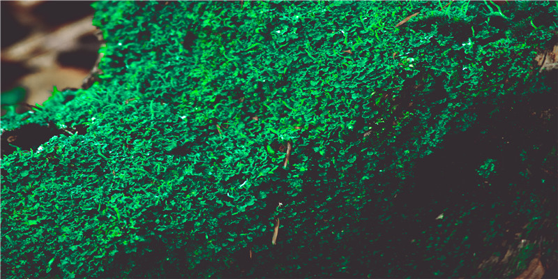 93年还没结婚该着急吗(93年高学历女孩的心酸相亲史)