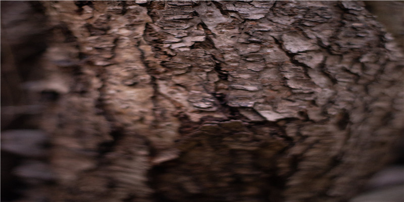 持字起名配什么字好(持这个字怎么读组词)