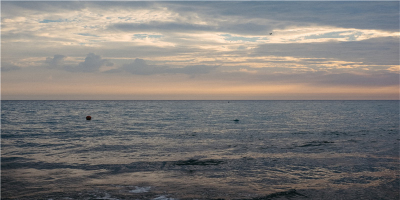 车标志识别图片大全图片及名字(乔迁菜谱图片 大全)