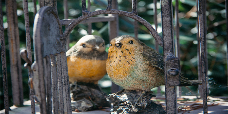 2023年5月28日适合结婚吗(“救子心切的她)