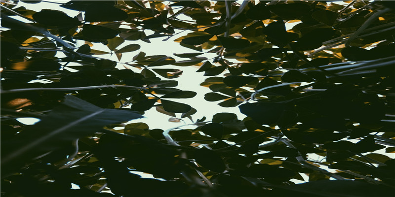 澳字起名是什么意思(带澳字的名字)