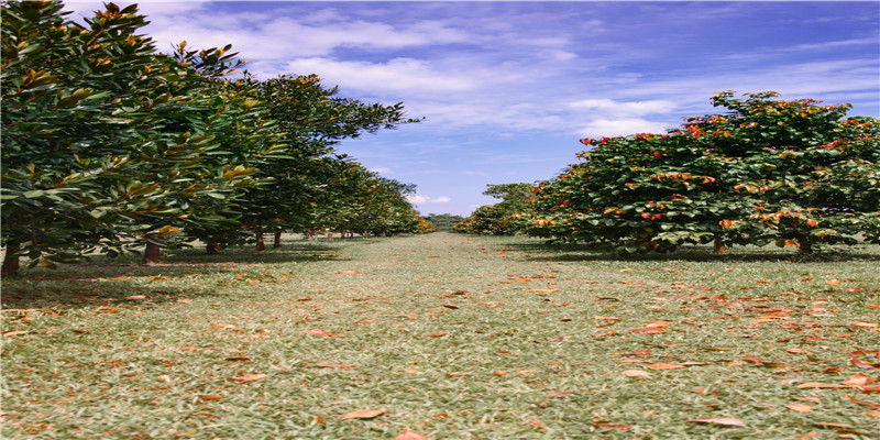妈妈梦见女儿掉牙什么预兆(梦见自己女儿掉牙什么预兆)_重复