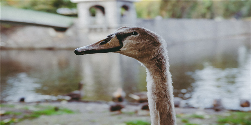 哪里有痣的女人有福气(女人的福痣)